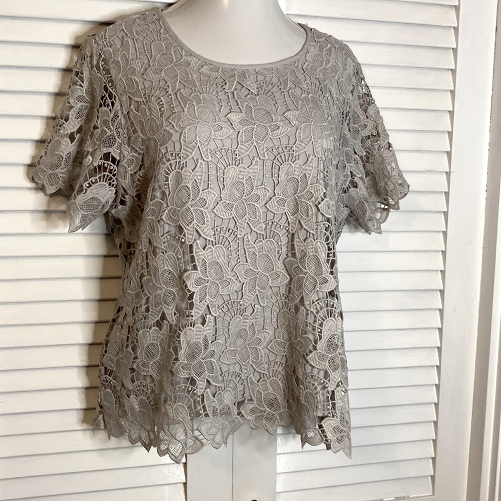 Philosophy vapor gray lace overlay top blouse